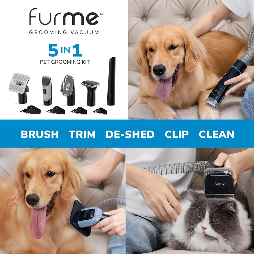 Professional Plus Pet Grooming Vacuum Kit. 5 Pet Grooming Tools. 2L Canister. Works for All Dogs. Cats. and Pet Fur